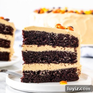 Decadent Chocolate Peanut Butter Layer Cake Recipe 7 Slice of chocolate peanut butter cake on a plate.