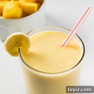 Creamy Mango Smoothie Recipe for Refreshing Tropical Flavor 4 Mango Fruit Smoothie