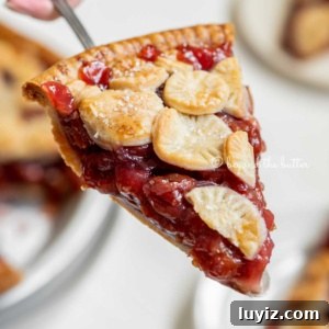Classic Homemade Cherry Pie Recipe for Perfect Crust and Filling 13 Hand holding a slice of homemade cherry pie with slices in the background.