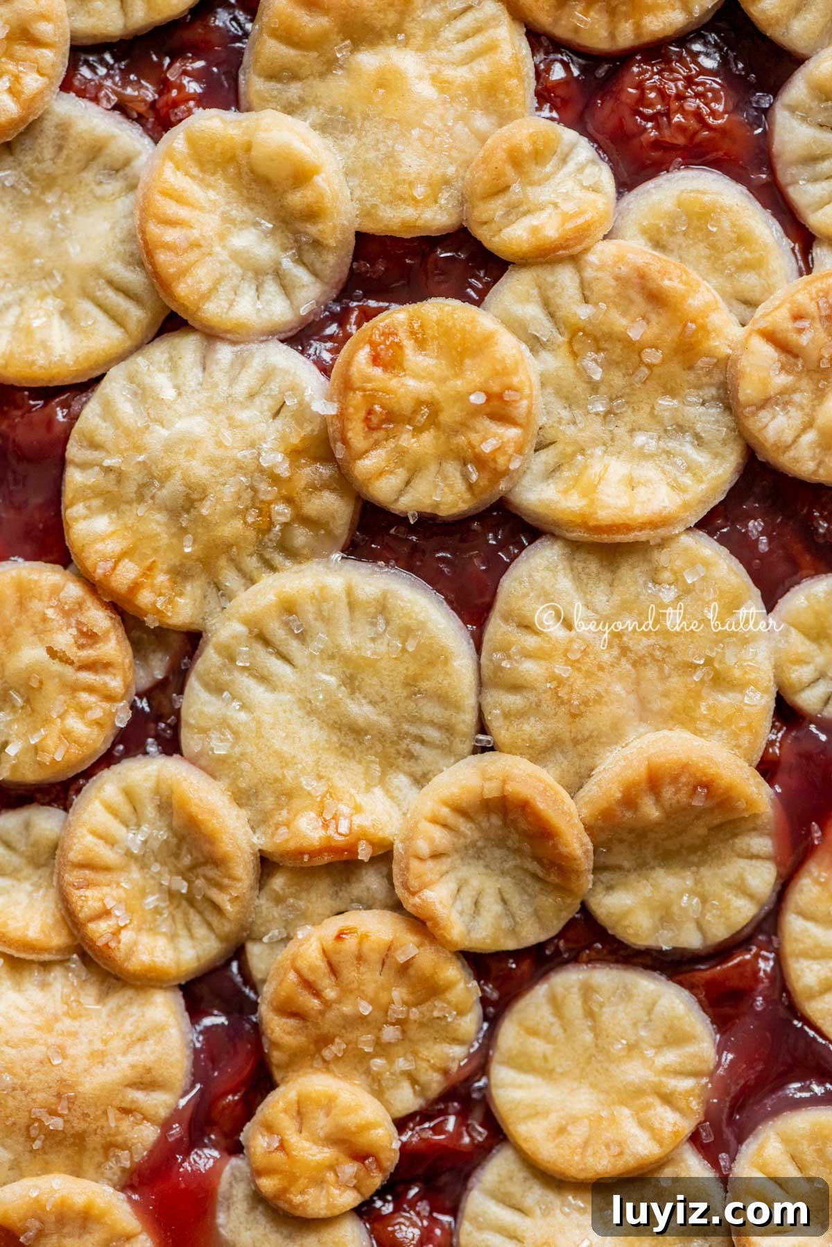 Classic Homemade Cherry Pie Recipe for Perfect Crust and Filling 7 Closeup of cherry pie filling | All Images © Beyond the Butter™