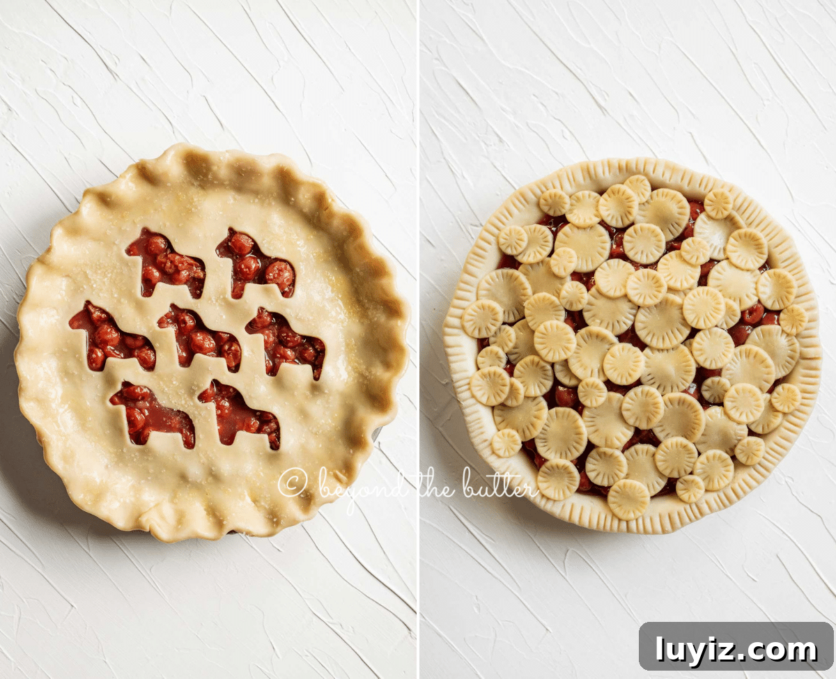 Classic Homemade Cherry Pie Recipe for Perfect Crust and Filling 8 Image of 2 versions of unbaked cherry pies