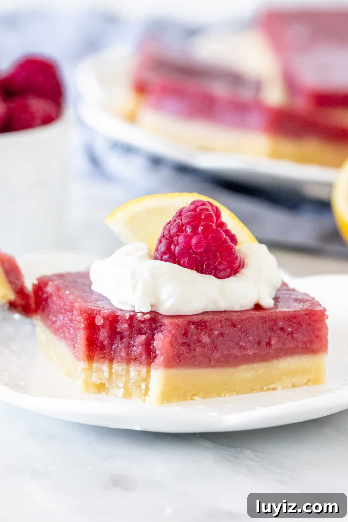 Zesty Lemon Raspberry Dessert Bars — Bright Tart Bar Recipe 6 Lemon raspberry bar on a plate, topped with whipped cream and a berry.