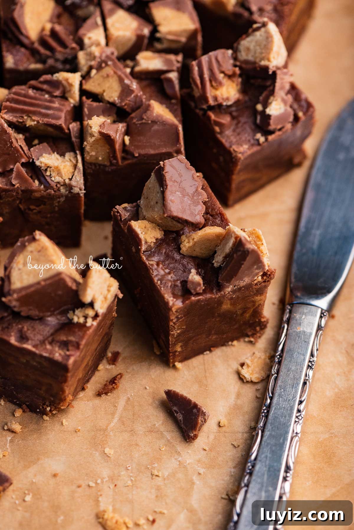 Chocolate Peanut Butter Fudge Recipe: Rich No-Bake Treat 3 Small 1 inch cubes of homemade chocolate peanut butter fudge | © Beyond the Butter®