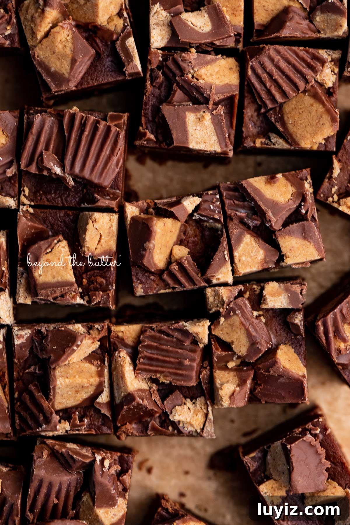 Chocolate Peanut Butter Fudge Recipe: Rich No-Bake Treat 5 Chocolate peanut butter fudge cut into small 1 inch squares on a sheet of brown parchment paper | © Beyond the Butter®