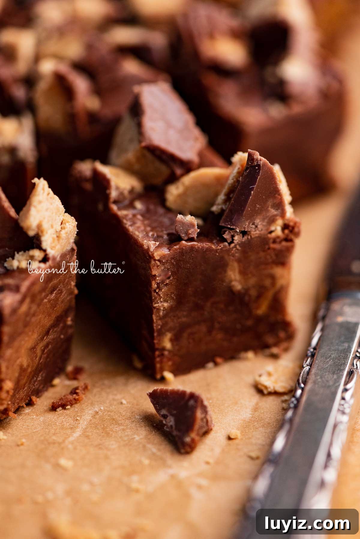 Chocolate Peanut Butter Fudge Recipe: Rich No-Bake Treat 6 Close up of 1 inch cubes of homemade chocolate peanut butter fudge | © Beyond the Butter®