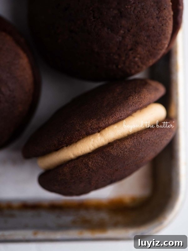 Chocolate Peanut Butter Fudge Recipe: Rich No-Bake Treat 9 Closeup overhead image of chocolate peanut butter whoopie pies.