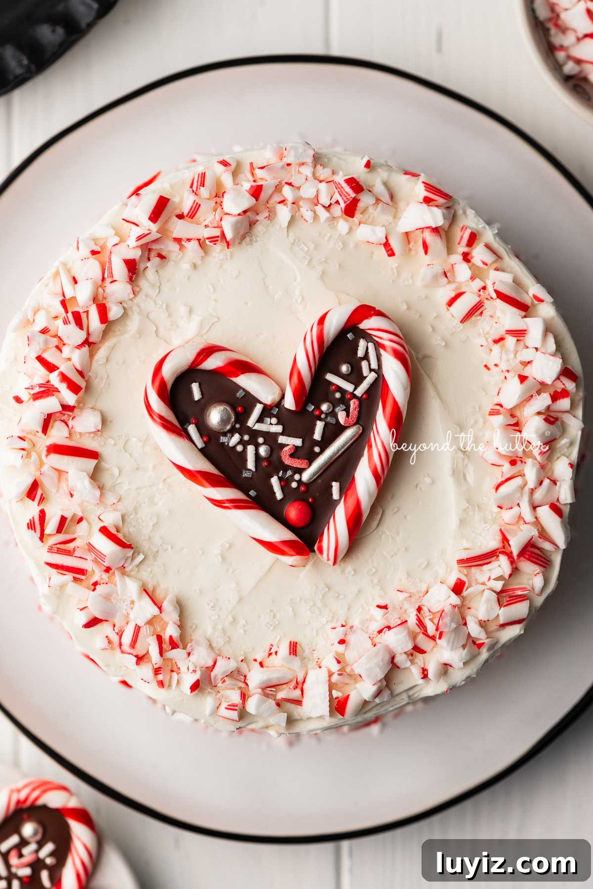 Peppermint Chocolate Cake Recipe: Single-Layer Holiday Dessert 3 Single layer chocolate peppermint cake frosted with peppermint swiss merignue buttercream and garnished with crushed candy canes and candy cane heart | © Beyond the Butter®