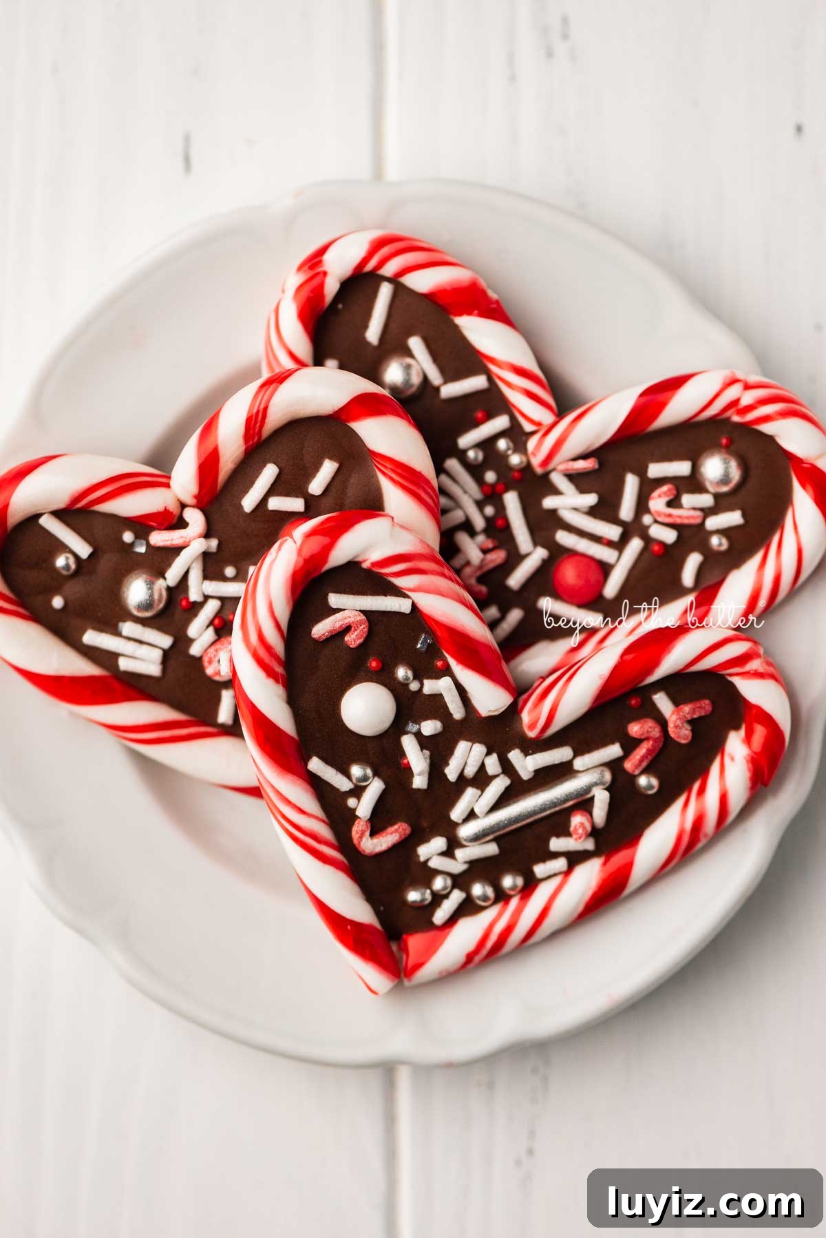 Peppermint Chocolate Cake Recipe: Single-Layer Holiday Dessert 5 Close up of candy cane hearts on dessert plate | © Beyond the Butter®
