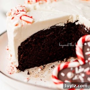 Peppermint Chocolate Cake Recipe: Single-Layer Holiday Dessert 6 Single layer peppermint chocolate cake sliced with candy cane heart placed on the dessert plate.