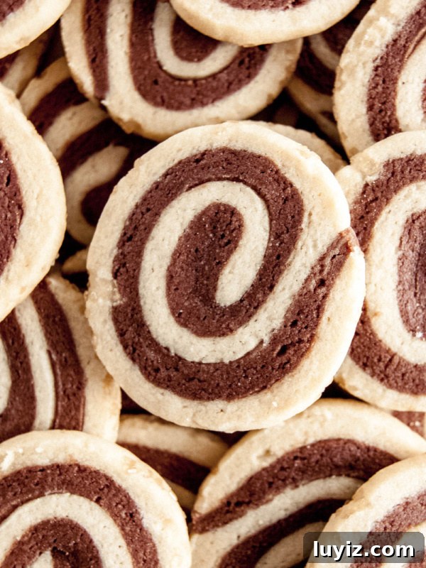 Close up image of randomly placed pinwheel cookies.