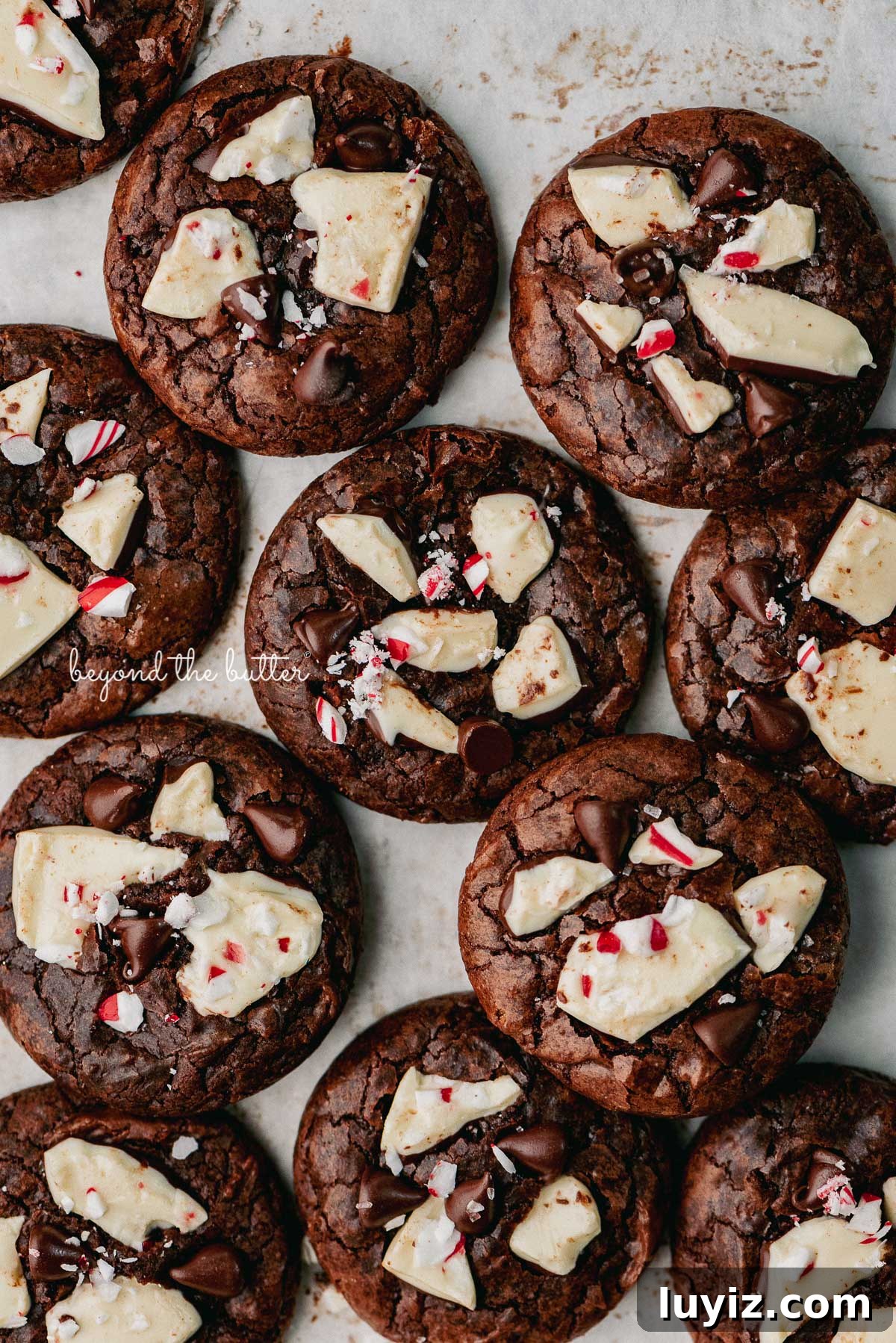 Peppermint Bark Brownie Crinkle Cookies Recipe for the Holidays 4 Just baked peppermint bark brownie crinkle cookies on a parchment paper lined baking sheet | © Beyond the Buter®