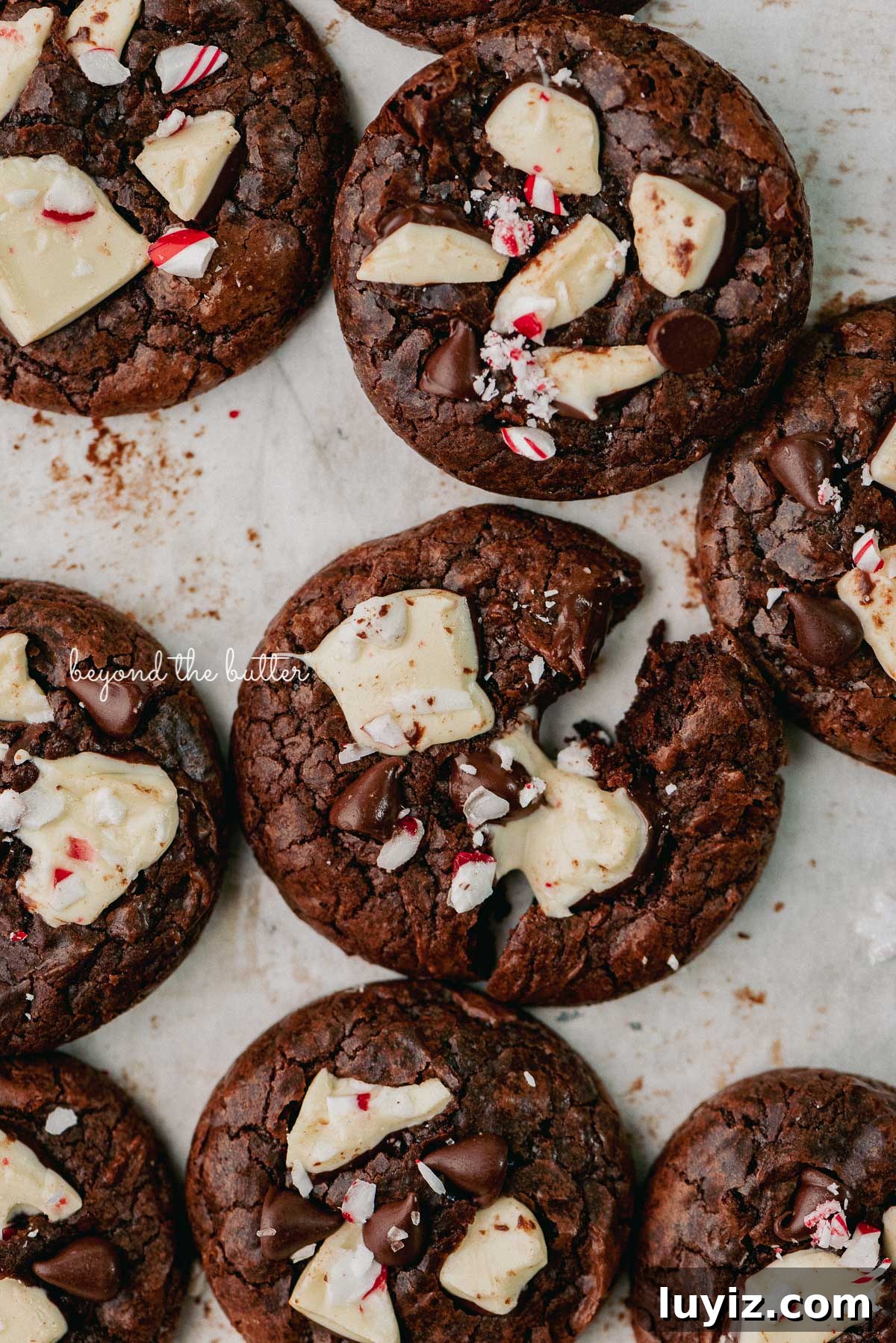 Peppermint Bark Brownie Crinkle Cookies Recipe for the Holidays 8 Just baked peppermint bark brownie crinkle cookies on a parchment paper lined baking sheet | © Beyond the Buter®