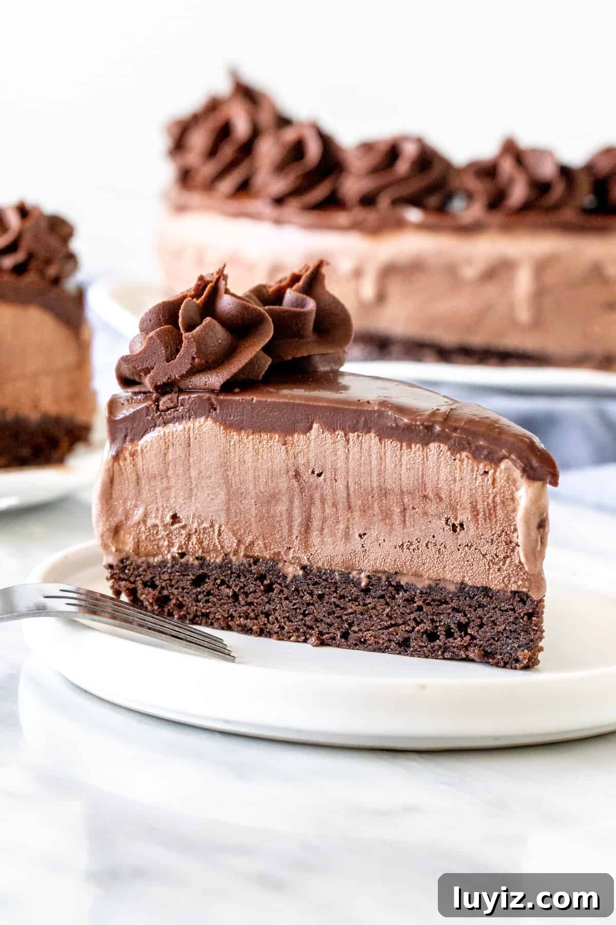 Decadent Chocolate Ice Cream Cake Recipe for Parties 2 Slice of chocolate ice cream cake