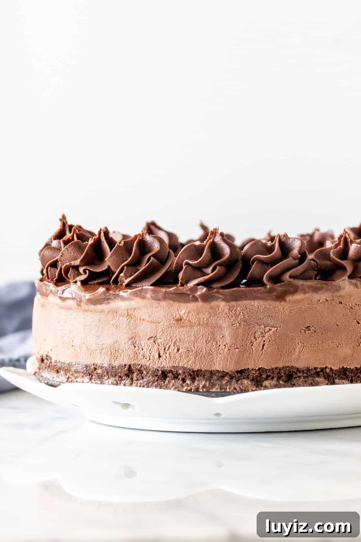 Decadent Chocolate Ice Cream Cake Recipe for Parties 3 Chocolate ice cream cake with brownie base and chocolate frosting