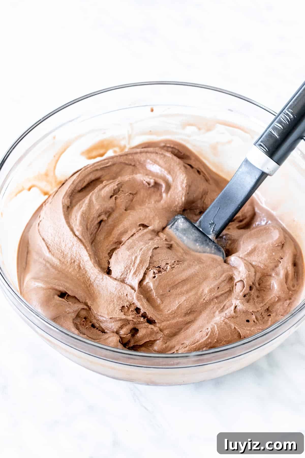 Decadent Chocolate Ice Cream Cake Recipe for Parties 4 Bowl of softened chocolate ice cream