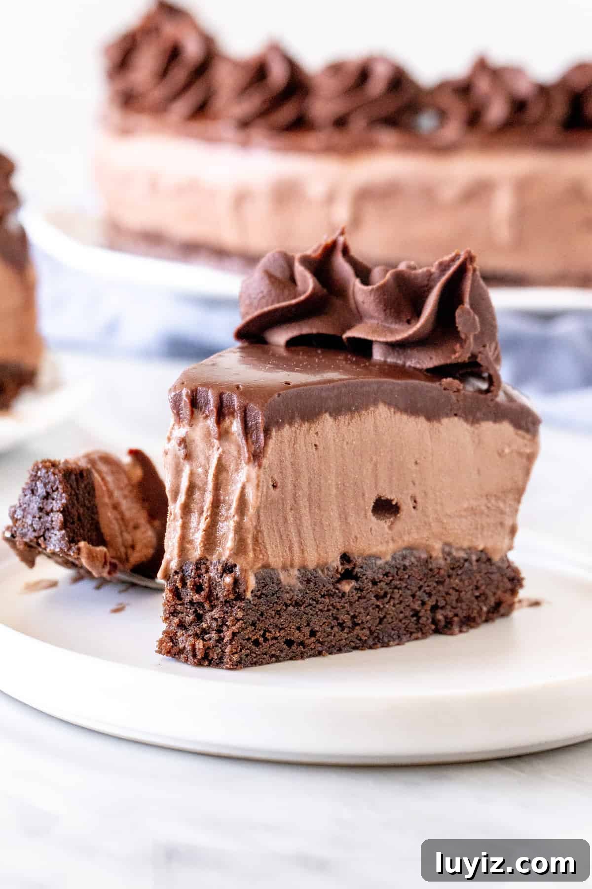 Decadent Chocolate Ice Cream Cake Recipe for Parties 5 Slice of ice cream cake with a bite.