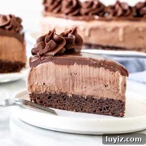 Slice of ice cream cake with brownie base.