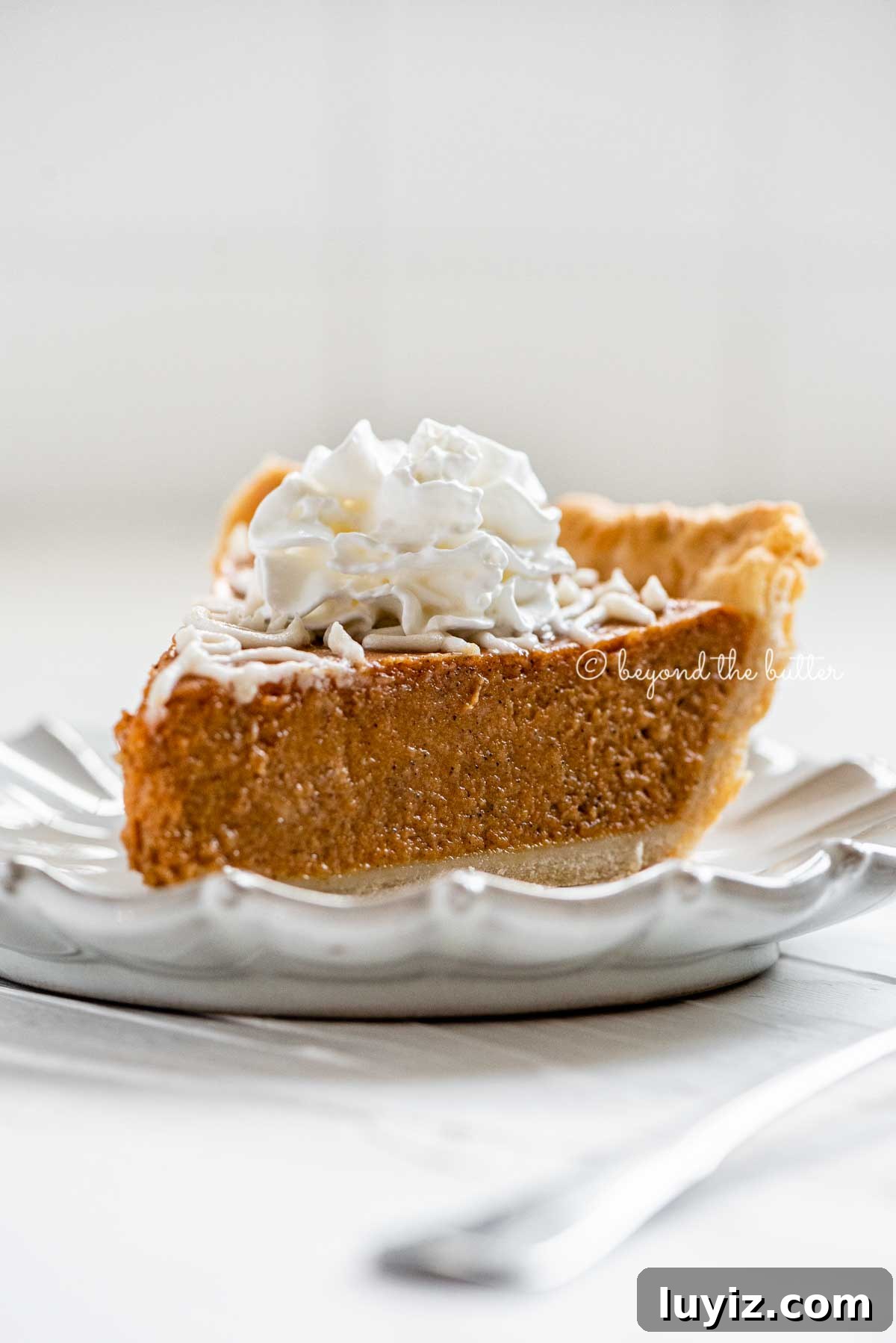 Perfect Pumpkin Pie Recipe for Creamy, Flaky Crust 8 Slice of pumpkin pie on a dessert plate