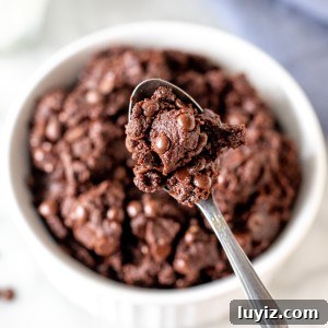 Edible Brownie Batter Recipe: Safe No-Bake Chocolate Batter 7 Spoonful of safe to eat brownie batter