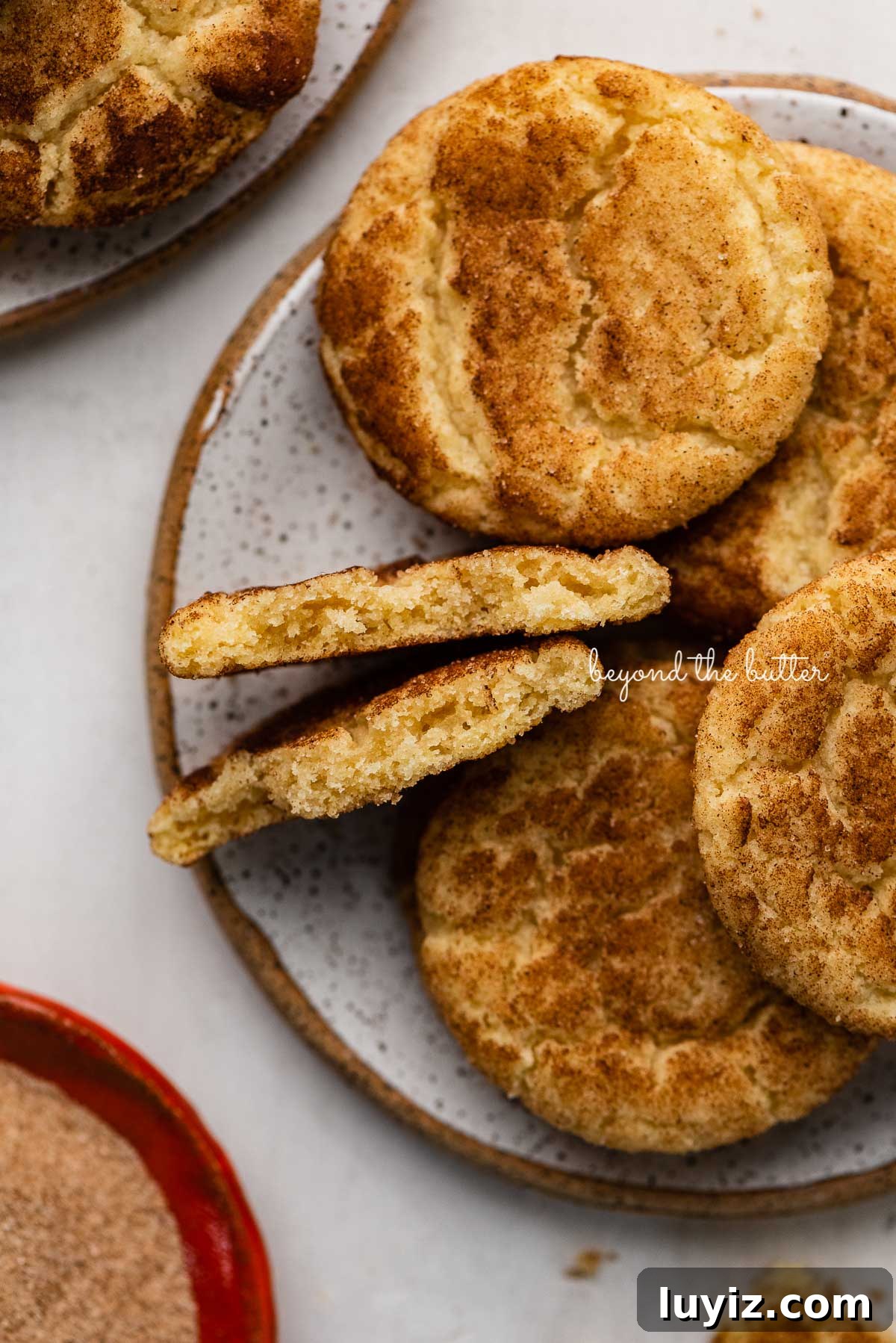 Classic Snickerdoodle Cookie Recipe: Soft Cinnamon Sugar Cookies 3 Plate of classic snickerdoodle cookies on white background | © Beyond the Butter®