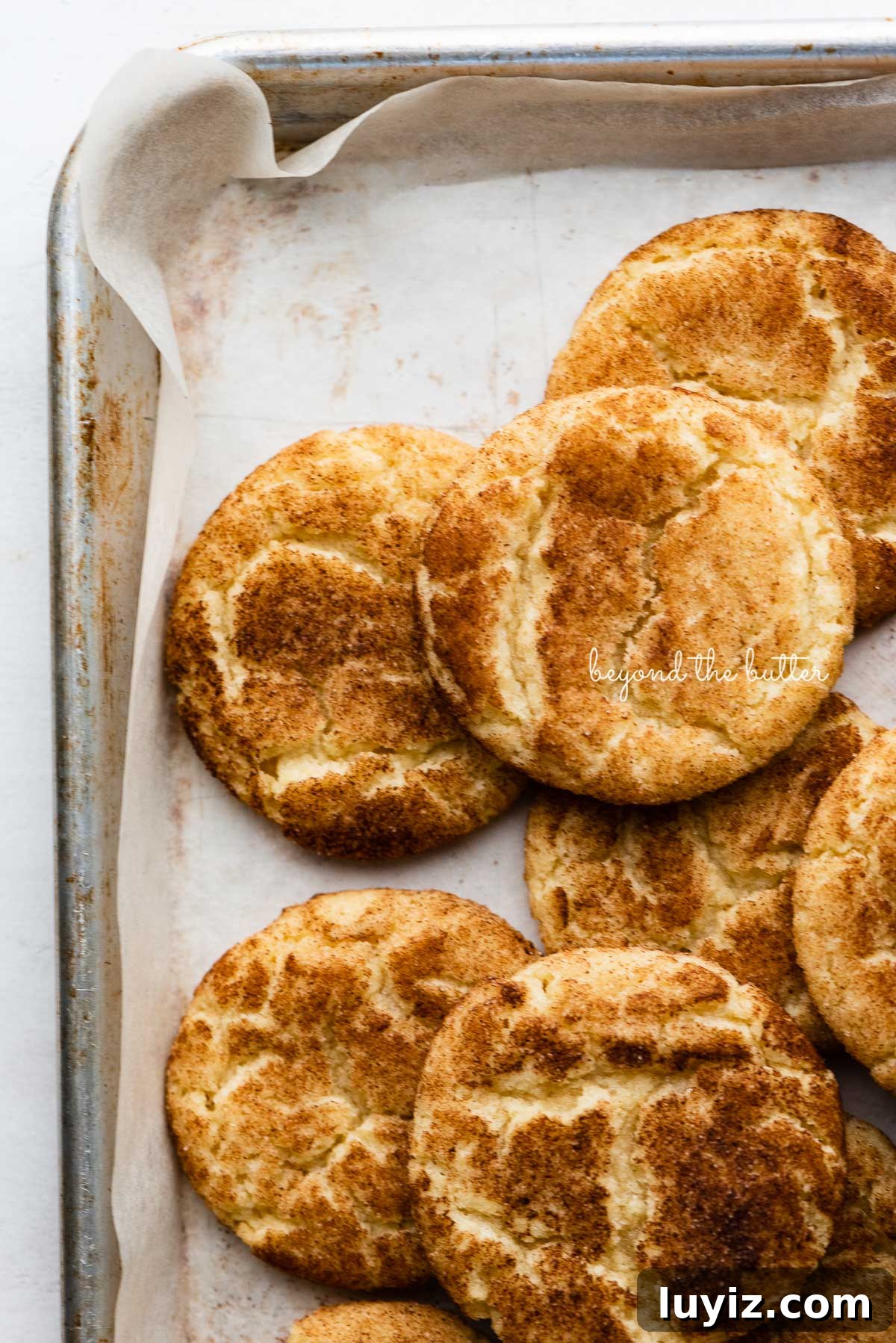 Classic Snickerdoodle Cookie Recipe: Soft Cinnamon Sugar Cookies 4 Randomly placed snickerdoodle cookies on a parchment paper lined baking sheet | © Beyond the Butter®