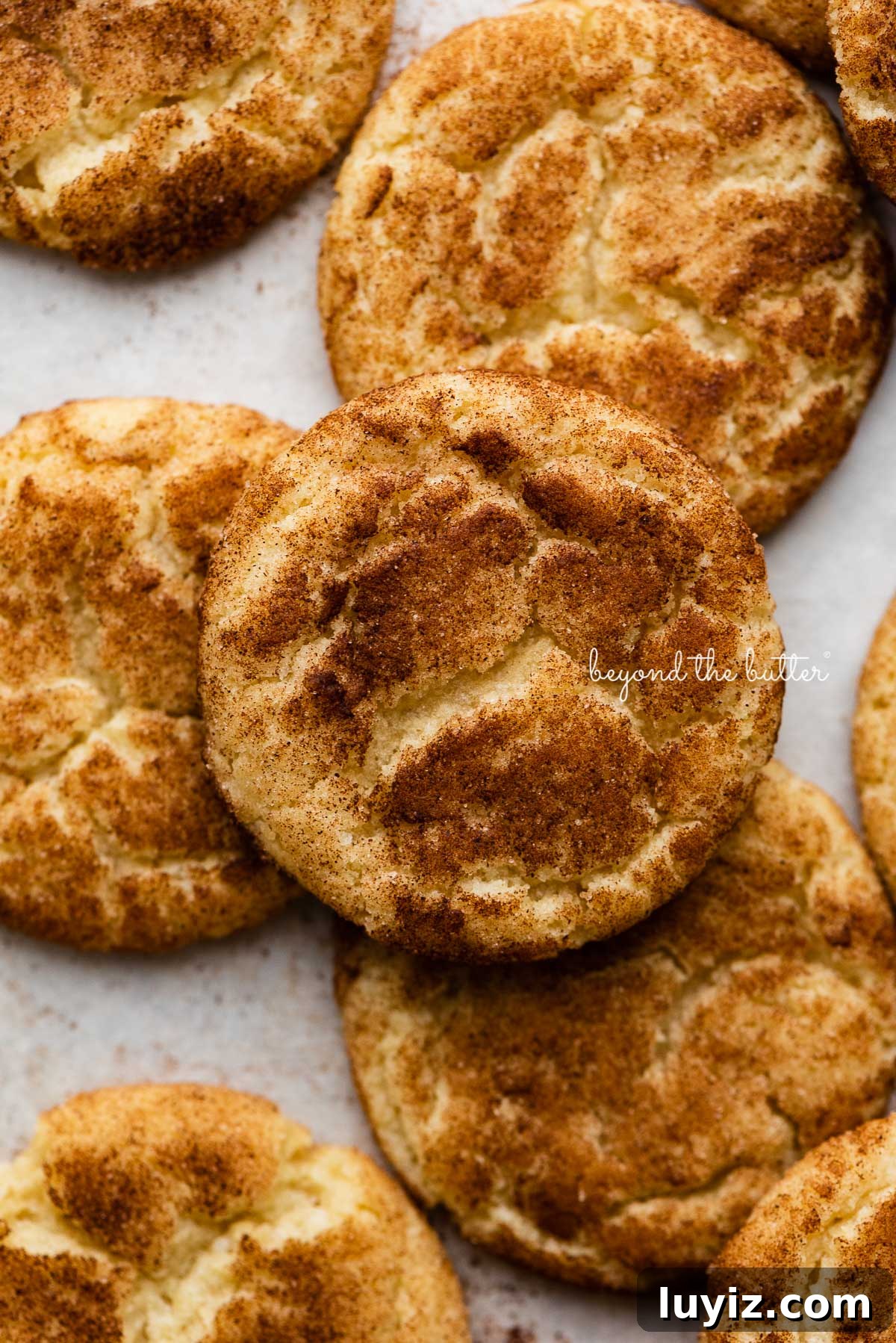 Classic Snickerdoodle Cookie Recipe: Soft Cinnamon Sugar Cookies 6 Snickerdoodle cookies on a parchment paper lined baking sheet | © Beyond the Butter®