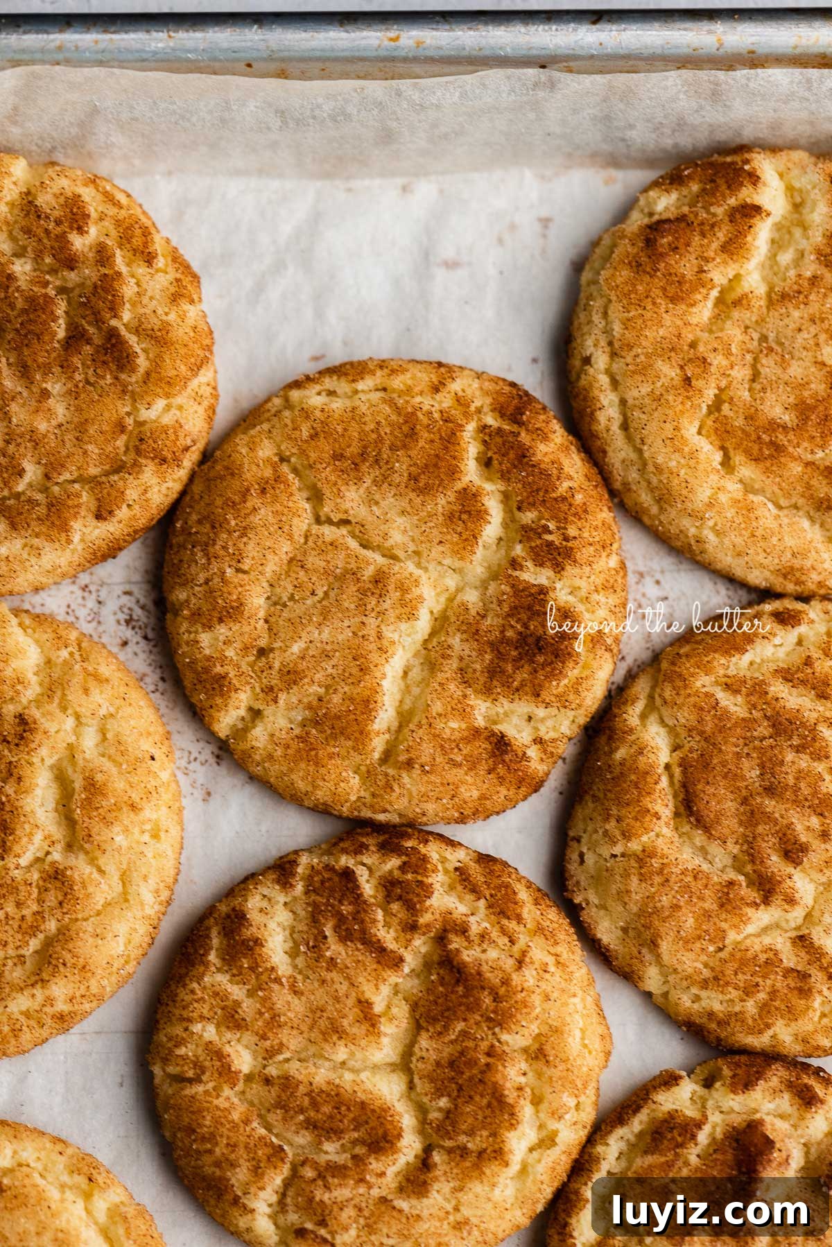Classic Snickerdoodle Cookie Recipe: Soft Cinnamon Sugar Cookies 8 Classic snickerdoodle cookies on a parchment paper lined baking sheet | © Beyond the Butter®