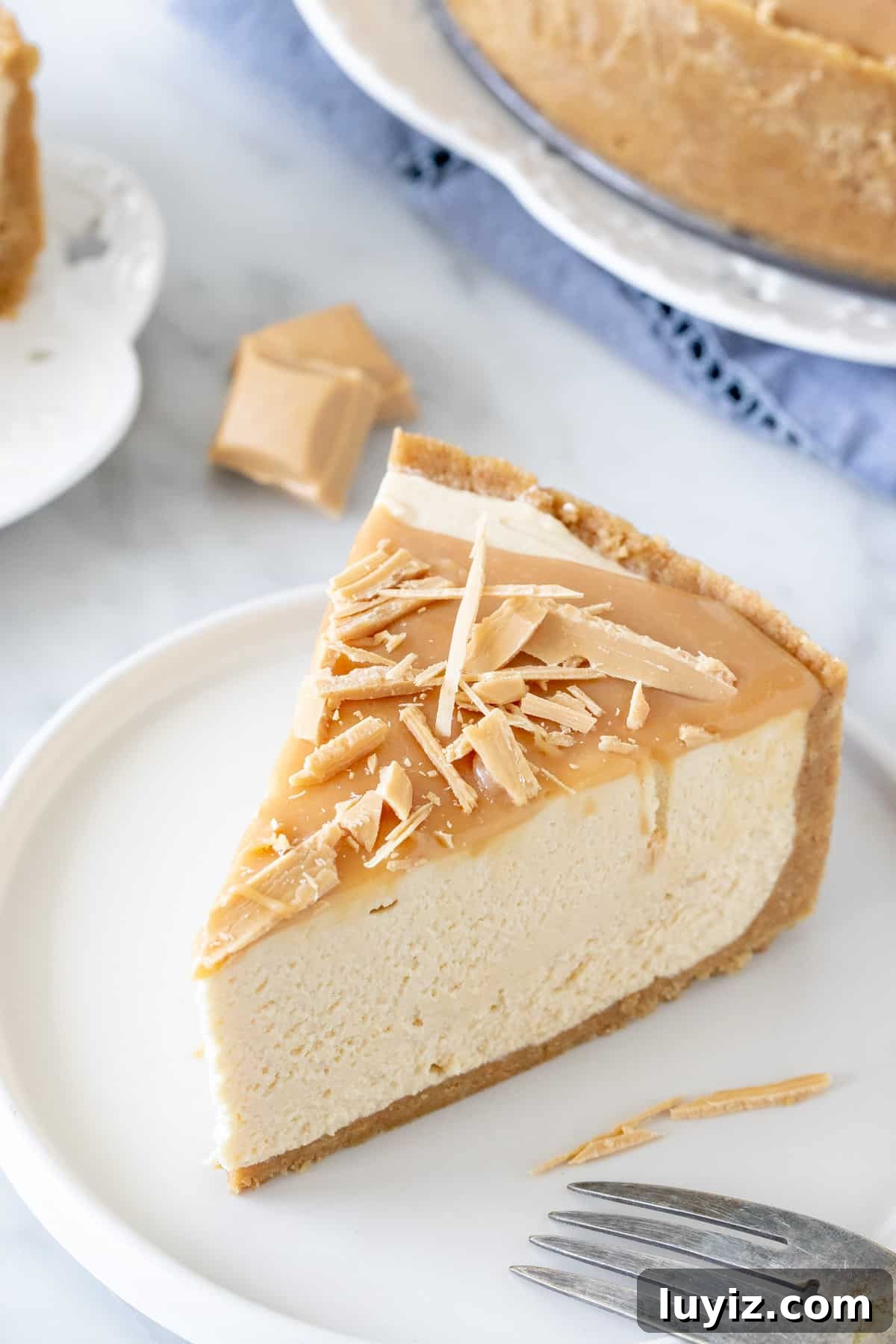 Caramilk Chocolate Cheesecake Recipe: Creamy Caramel-Streaked Slice 2 Slice of caramilk cheesecake on a plate.