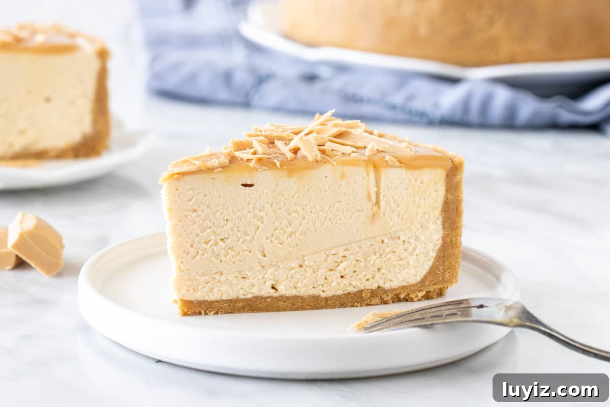 Caramilk Chocolate Cheesecake Recipe: Creamy Caramel-Streaked Slice 3 Slice of no-bake caramilk cheesecake with a thick biscuit crust.