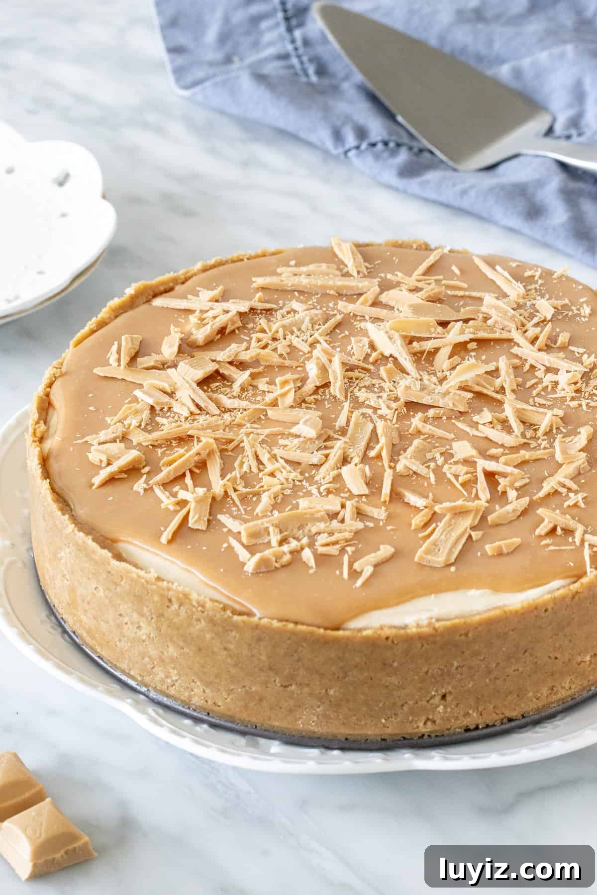 Caramilk Chocolate Cheesecake Recipe: Creamy Caramel-Streaked Slice 7 Caramilk cheesecake with biscuit crust and Caramilk topping.