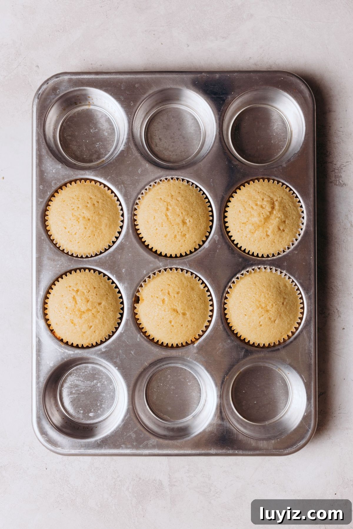 Chocolate Chip Cookie Dough Cupcakes Recipe with Gooey Centers 13 Six vanilla cupcakes baked in a metal cupcake tin on a white marbled background.