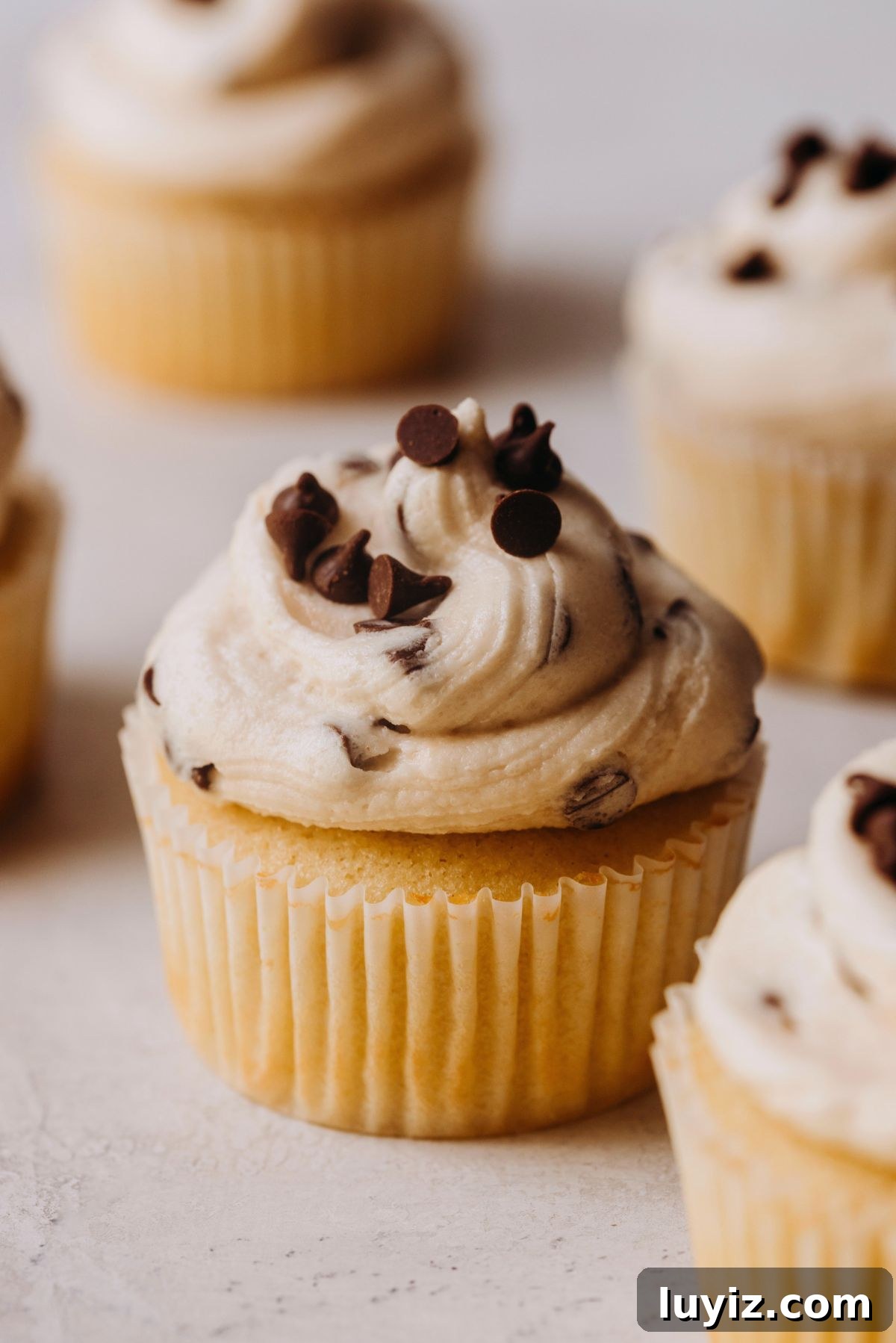 Chocolate Chip Cookie Dough Cupcakes Recipe with Gooey Centers 19 Chocolate chip cookie dough filled vanilla cupcakes topped with chocolate chip cookie dough buttercream frosting.