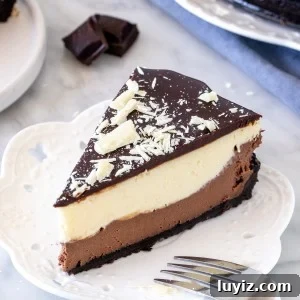 Decadent Layered Chocolate Cheesecake Recipe for Chocoholics 6 Slice of layered chocolate cheesecake