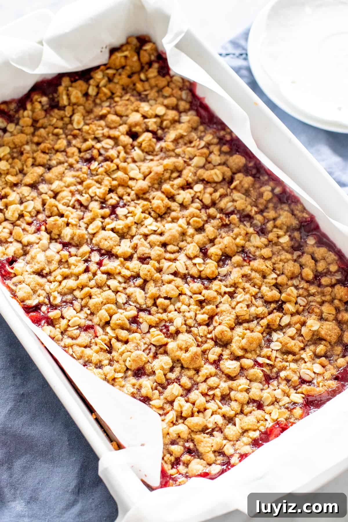 Chewy Raspberry Jam Bars with Oat Crust 5 9x13 inch pan of raspberry bars