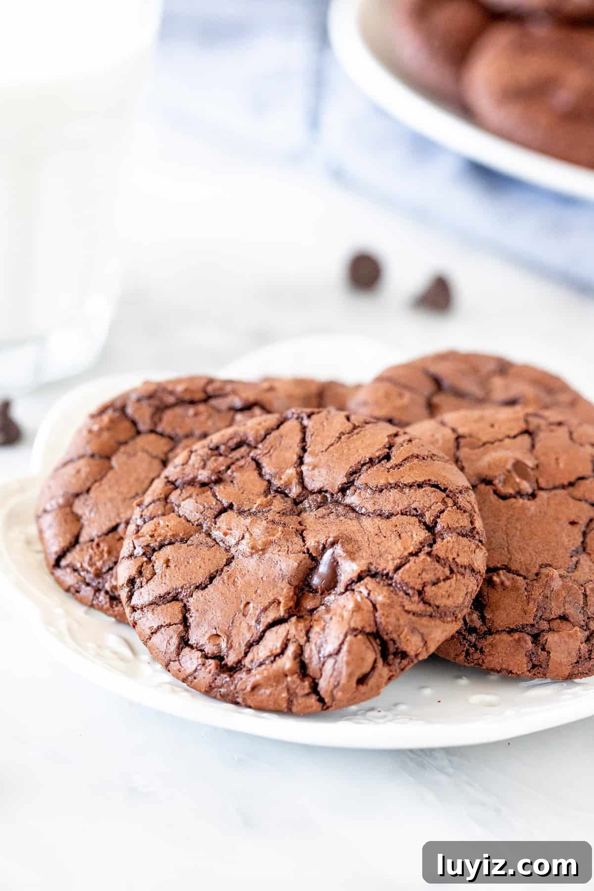 Chewy Brownie Cookies Recipe: Fudgy, Crispy-Edged Treats 2 Plate of brownie cookies