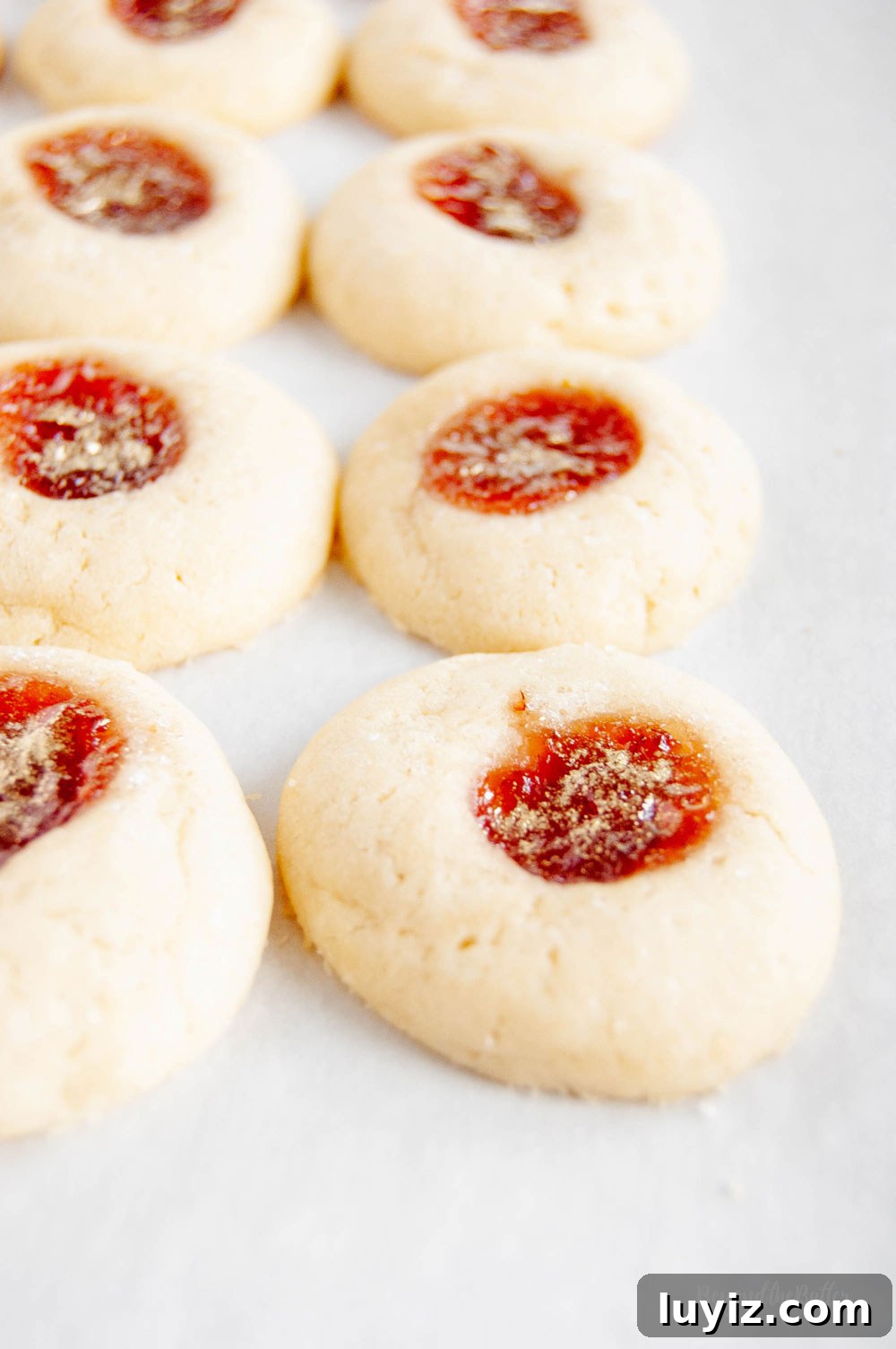 Holiday Jamboree Cookie Recipes for Festive Baking 4 Holiday Jamboree Cookies
