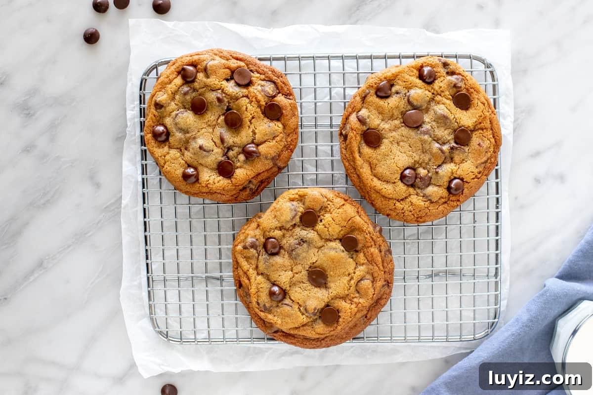 Bakery-Style Chocolate Chip Cookies: Soft, Chewy, and Irresistible 3 Three chocolate chip cookies on a wire rack.