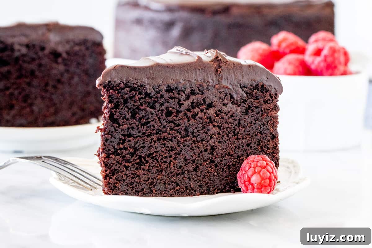 Decadent Chocolate Mud Cake Recipe for Rich, Gooey Dessert 4 Slice of chocolate cake with a bowl of raspberries