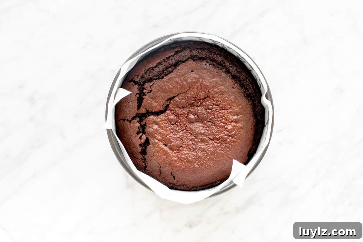 Decadent Chocolate Mud Cake Recipe for Rich, Gooey Dessert 5 Baked chocolate mud cake in a pan