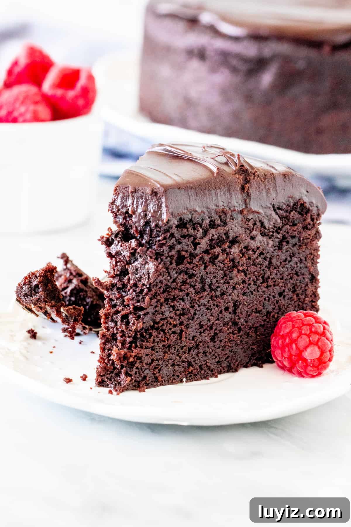 Decadent Chocolate Mud Cake Recipe for Rich, Gooey Dessert 6 Slice of fudgy mud cake with a bite taken out of it.