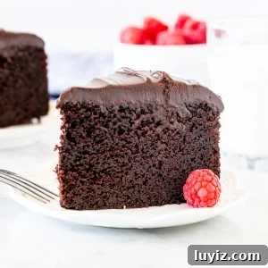 Decadent Chocolate Mud Cake Recipe for Rich, Gooey Dessert 7 Piece of chocolate mud cake with ganache on top