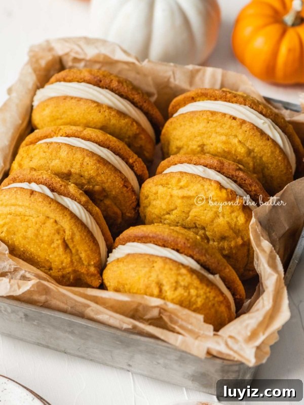 Gingerbread Whoopie Pies Recipe: Soft Molasses Sandwich Cookies 12 Angled image of pumpkin whoopie pies in parchment paper lined baking tin surrounded by mini orange and white pumpkins on a white background.