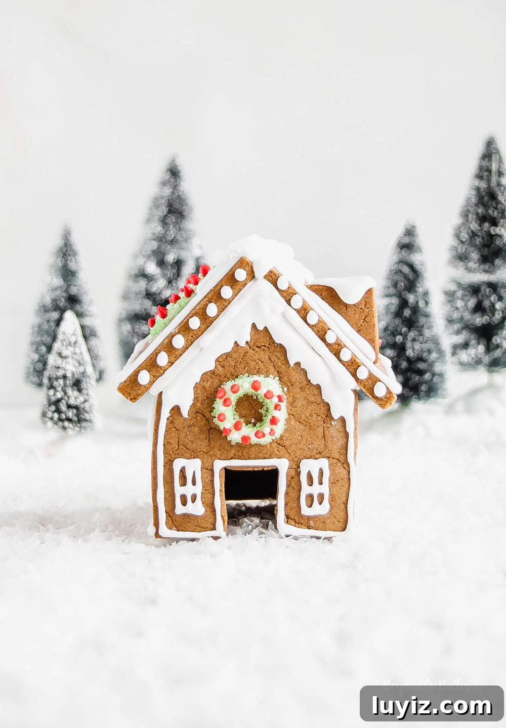 DIY Gingerbread Houses: Step-by-Step Guide for Festive Creations 4 Homemade Gingerbread Houses - front view of gingerbread house with a wreath above the door and trees in the background