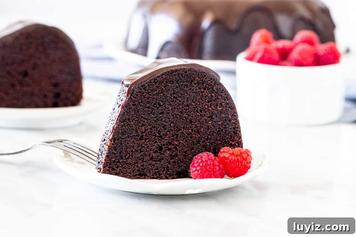 Slice of chocolate bundt cake with a few raspberries.