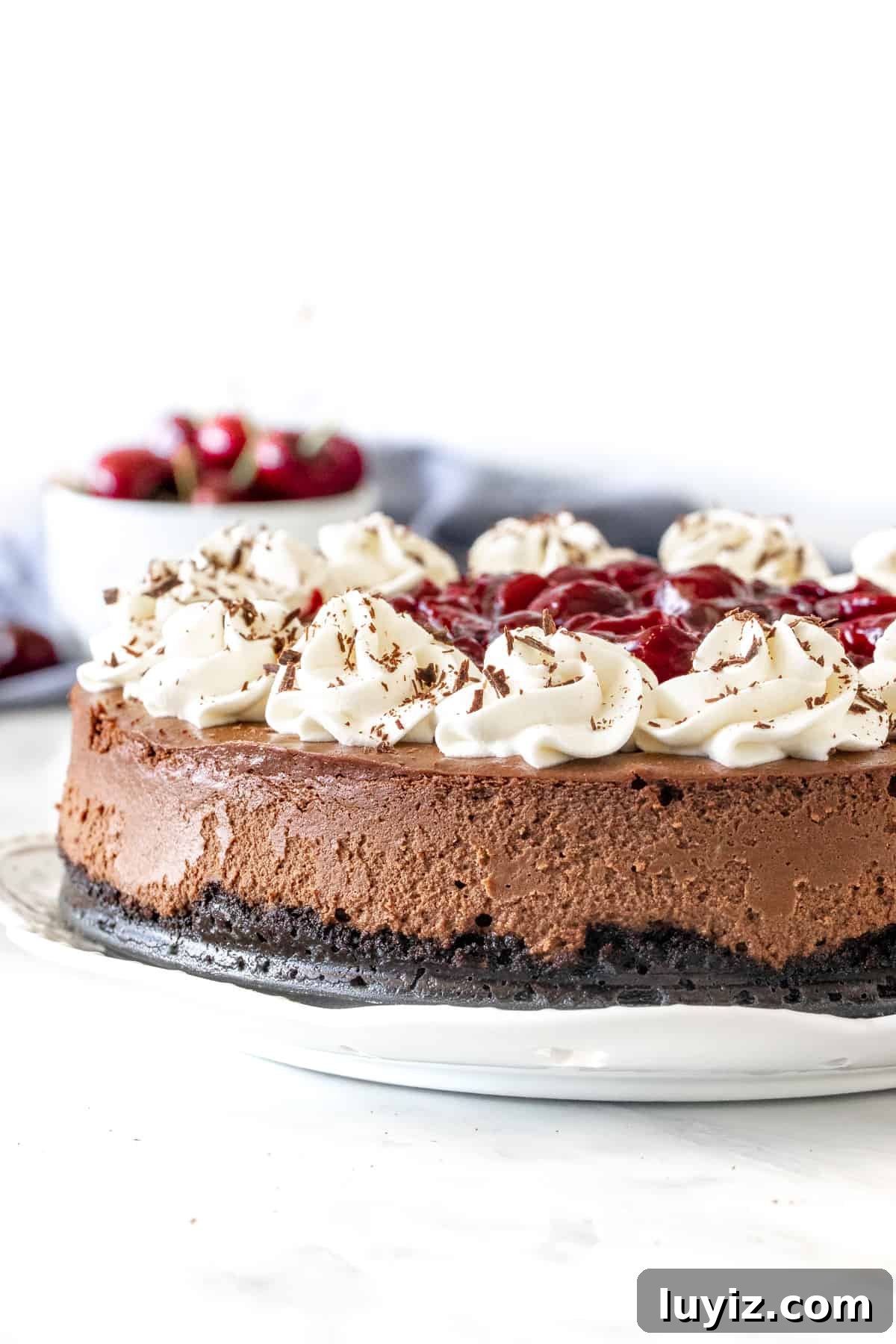 Black Forest Cheesecake Recipe with Cherry and Chocolate Swirl 2 Black forest cheesecake with whipped cream and cherries on top