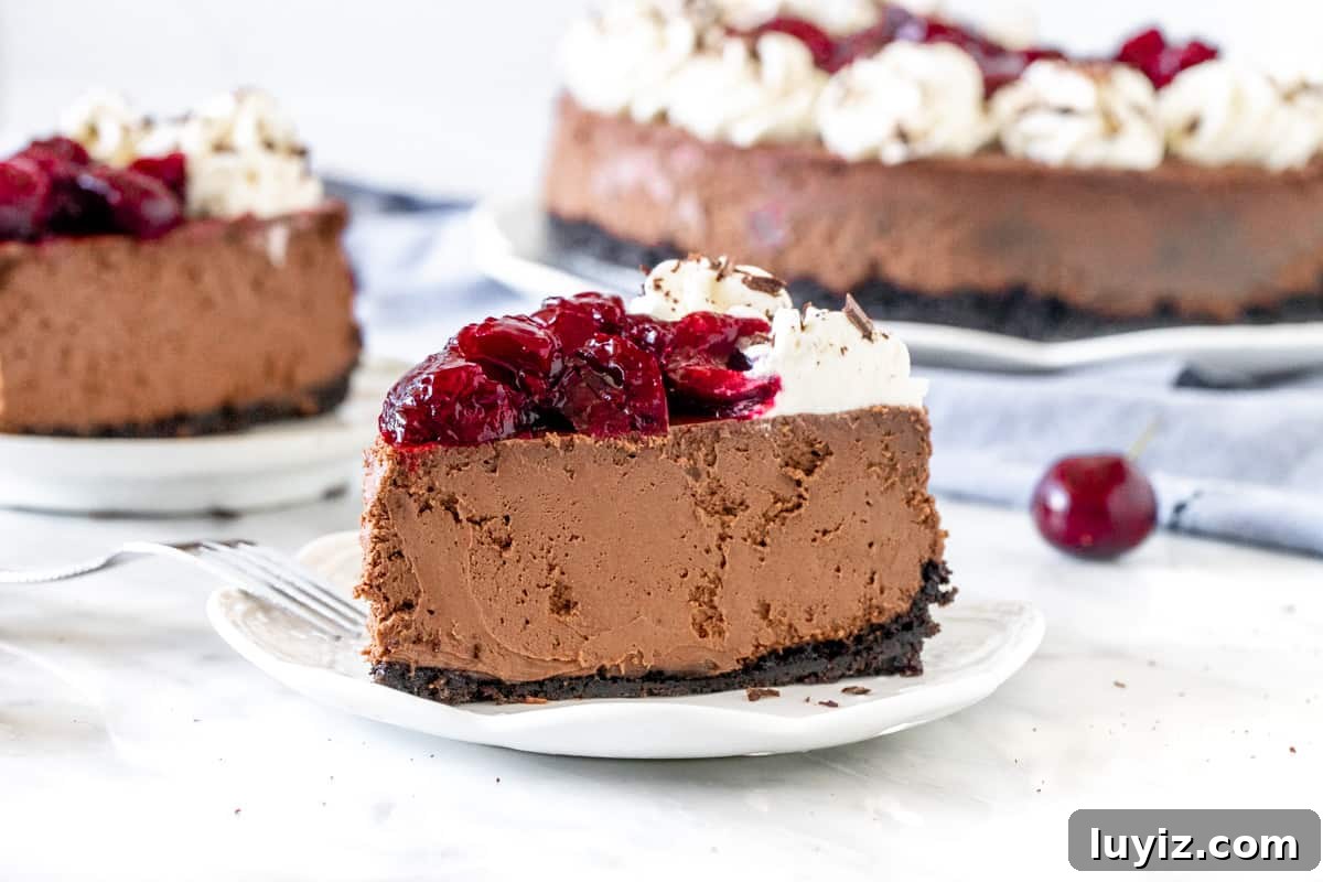 Black Forest Cheesecake Recipe with Cherry and Chocolate Swirl 3 Slice of chocolate cheesecake with cherries on top