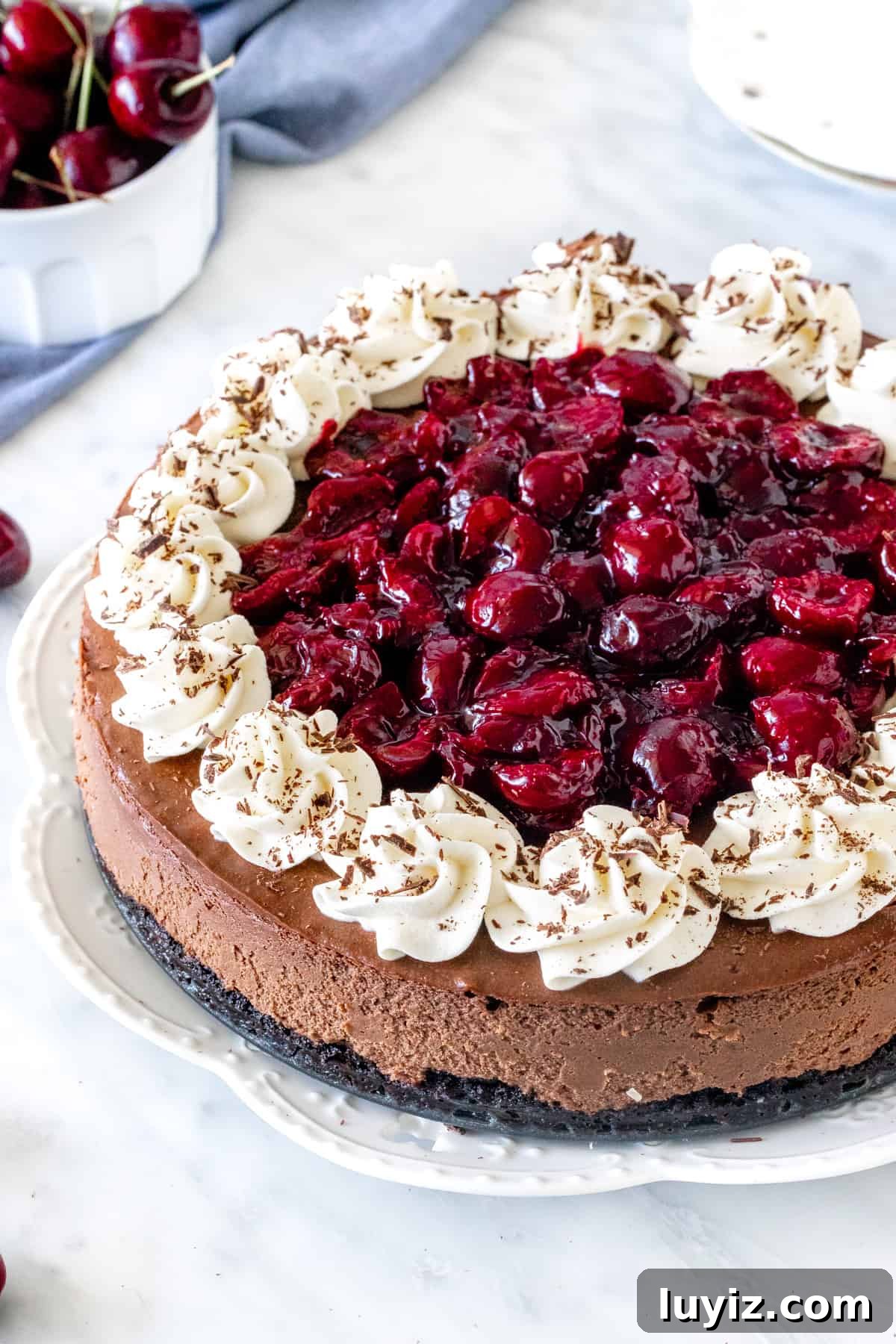 Black Forest Cheesecake Recipe with Cherry and Chocolate Swirl 5 Black forest cheesecake on a plate.