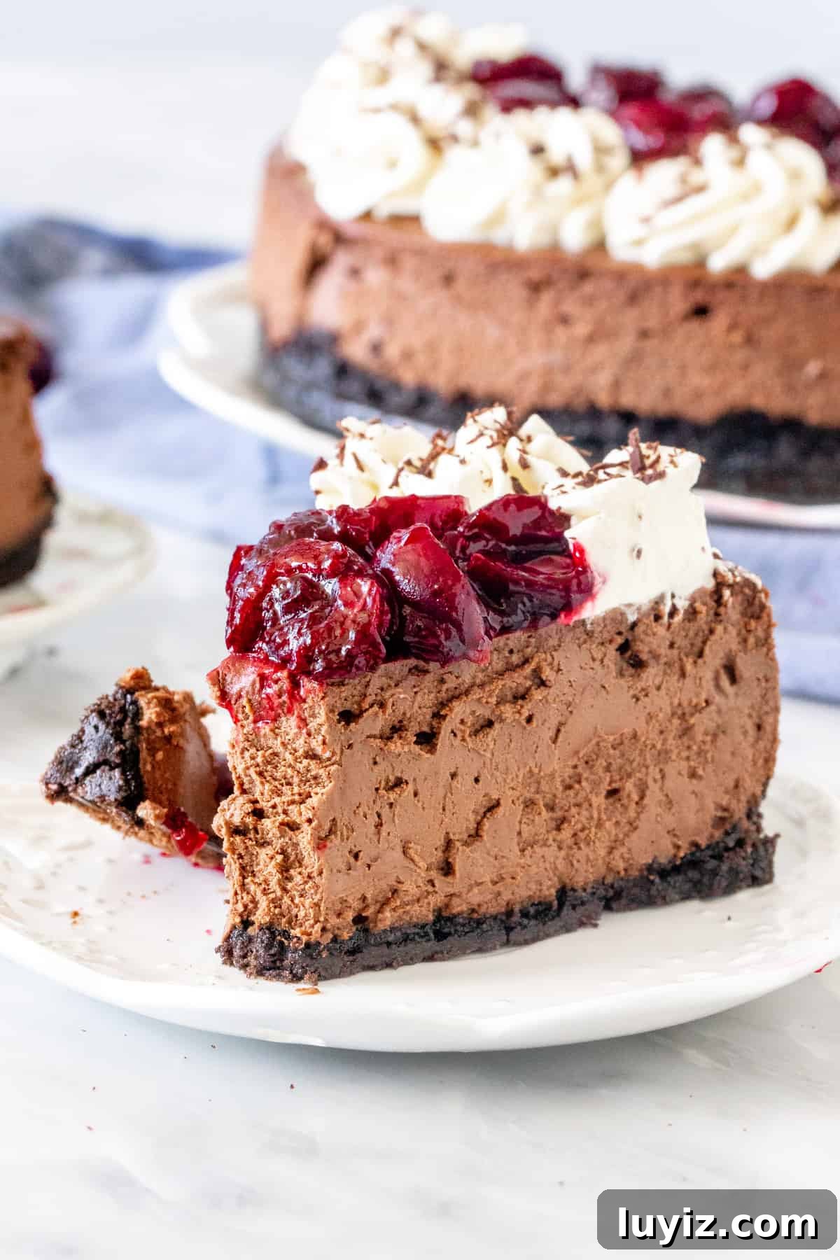 Black Forest Cheesecake Recipe with Cherry and Chocolate Swirl 6 Piece of chocolate cheesecake with cherry sauce on top