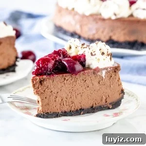 Black Forest Cheesecake Recipe with Cherry and Chocolate Swirl 7 Slice of chocolate cherry cheesecake