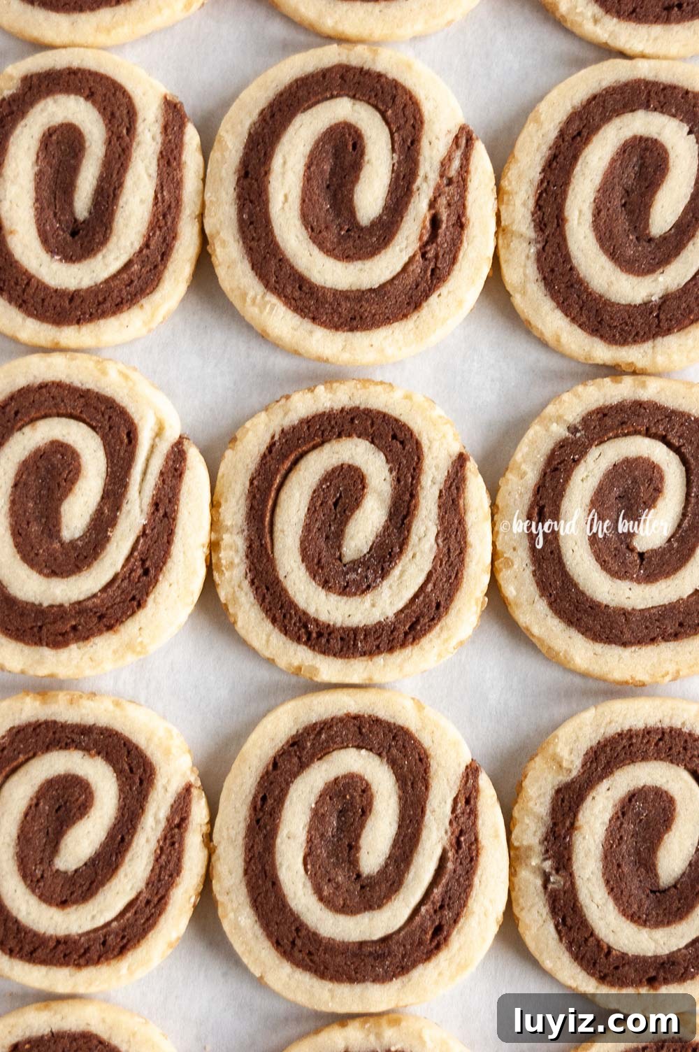Chocolate Pinwheel Cookies: Soft Swirl Cookie Recipe for Parties 2 Overhead image of Chocolate Pinwheel Cookies in rows | All images © Beyond the Butter™